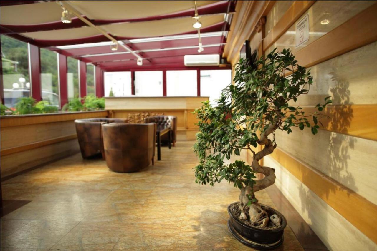 Apartment Vidikovac