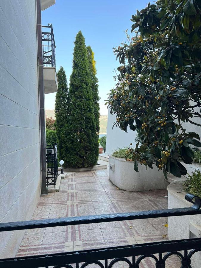 Apartment Vidikovac Budva