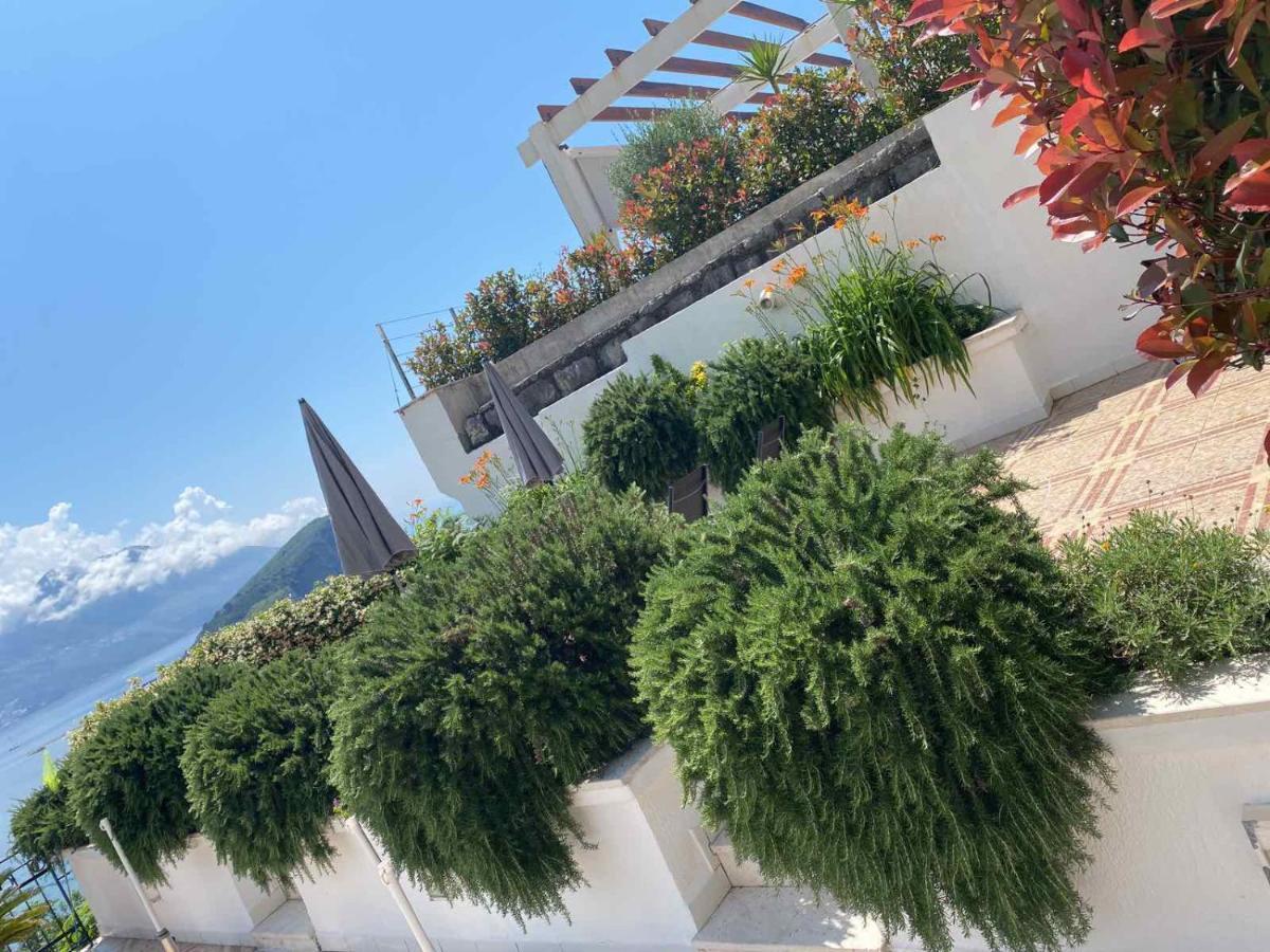 Vidikovac * Budva